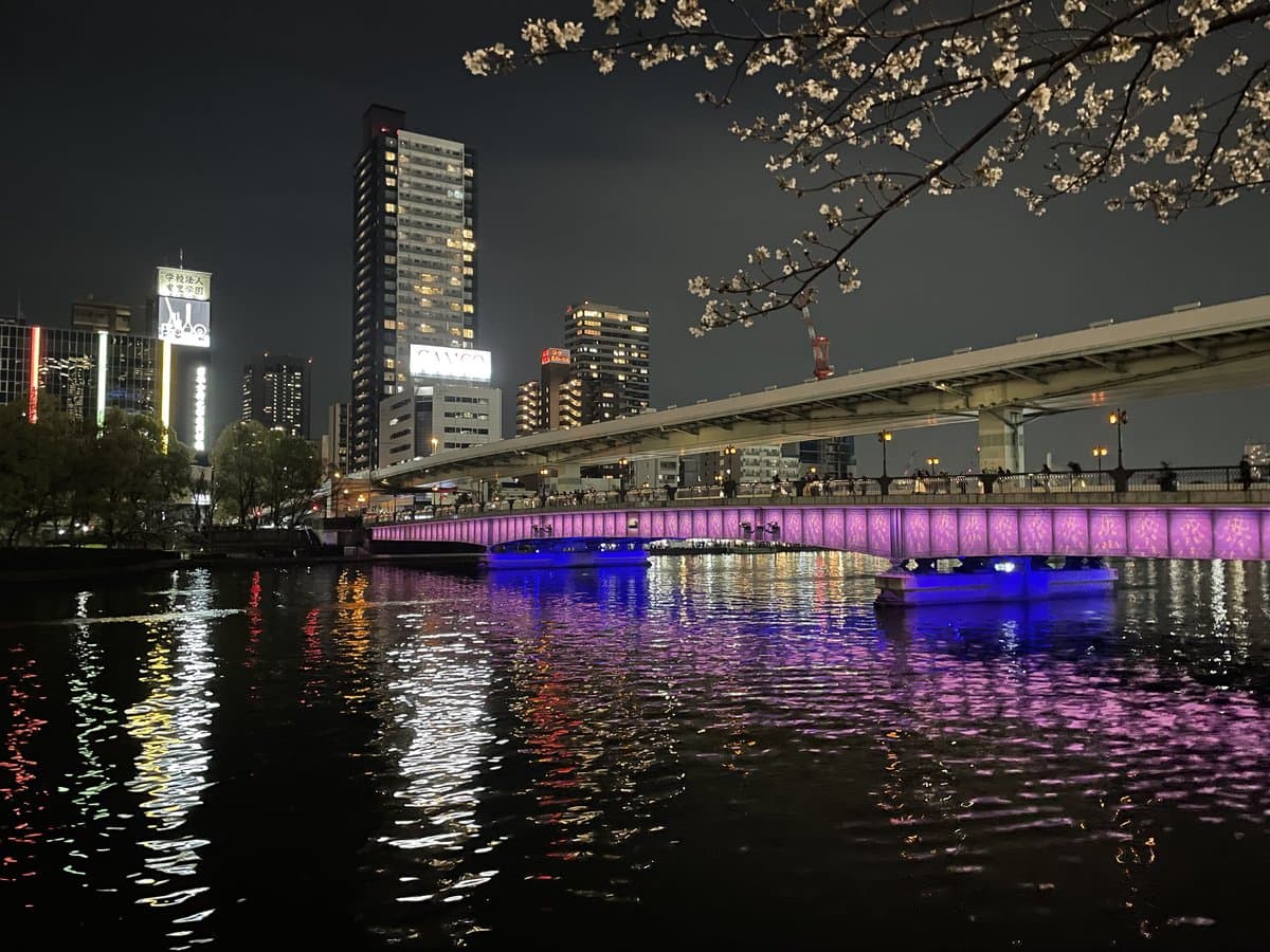 夜桜見物したよ🌸