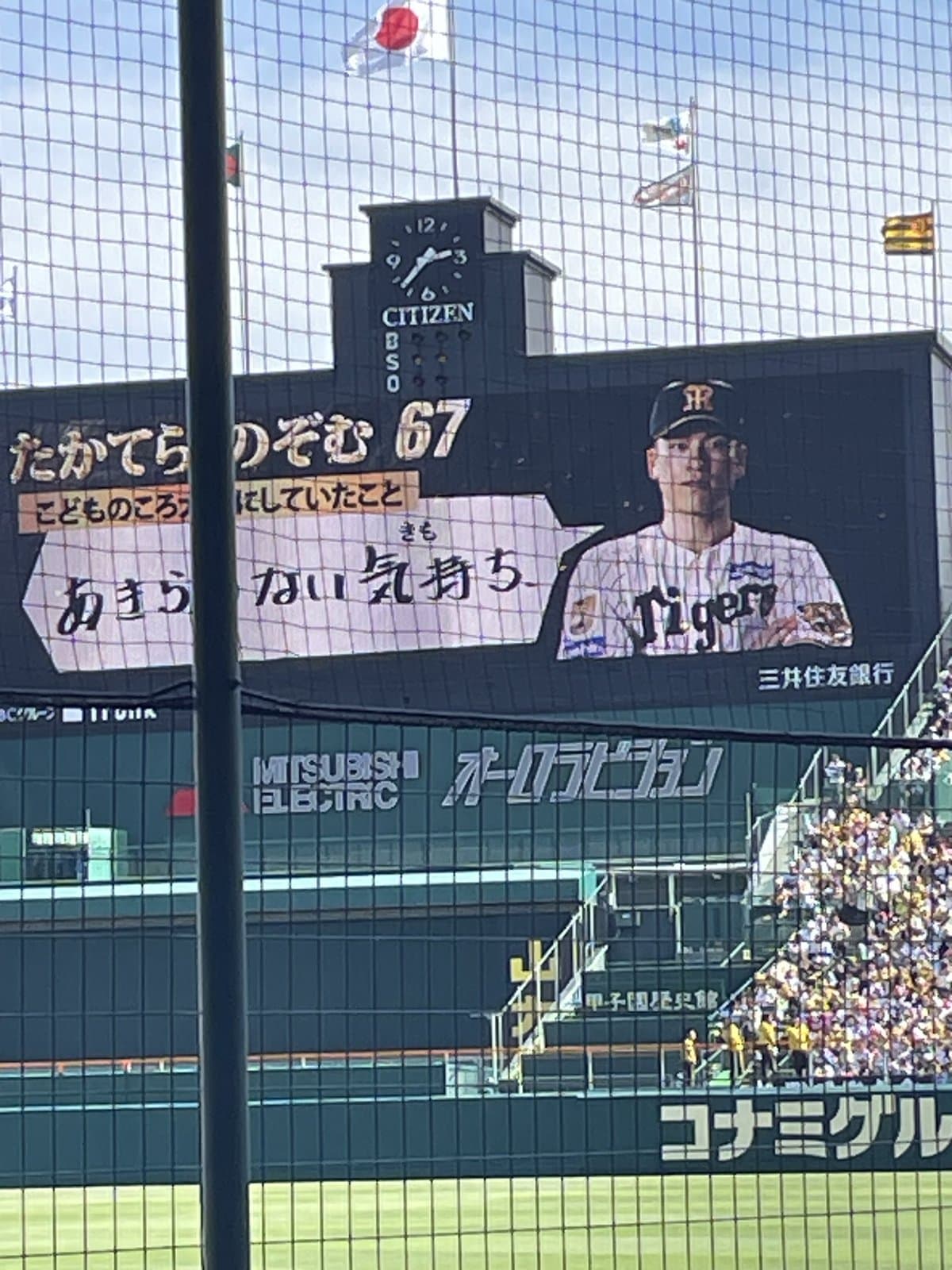 阪神-DeNA戦@甲子園