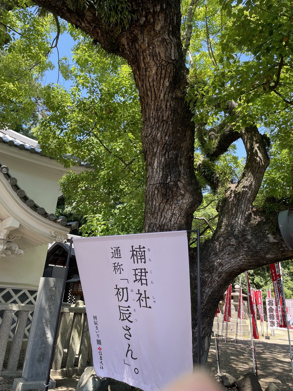 住吉大社に入ってきた